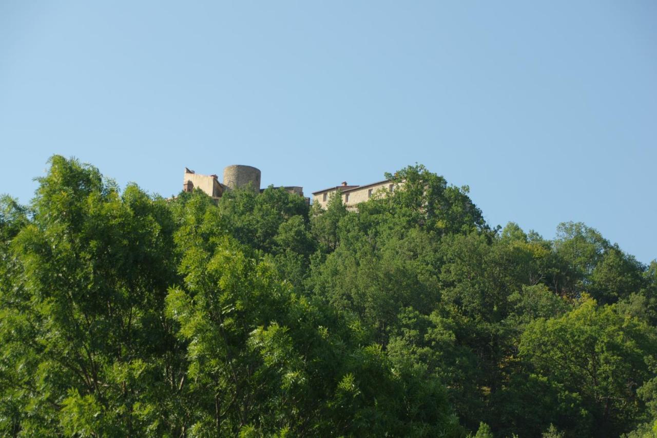 Tres Vents Del Roser - Grand Appartement Prats-de-Mollo-la-Preste Εξωτερικό φωτογραφία