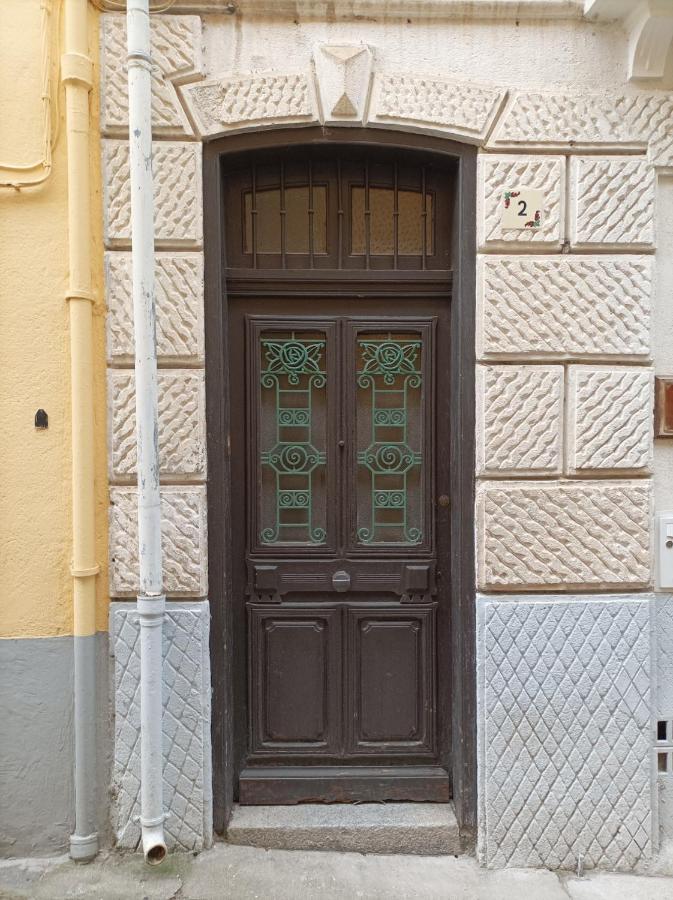 Tres Vents Del Roser - Grand Appartement Prats-de-Mollo-la-Preste Εξωτερικό φωτογραφία